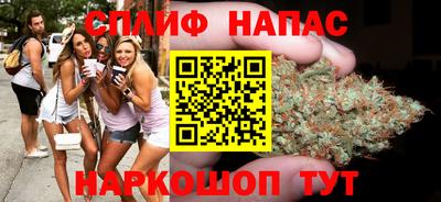 сатива Волжский