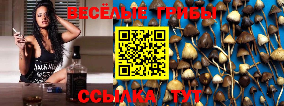 Галлюциногенные грибы ЛСД Бор